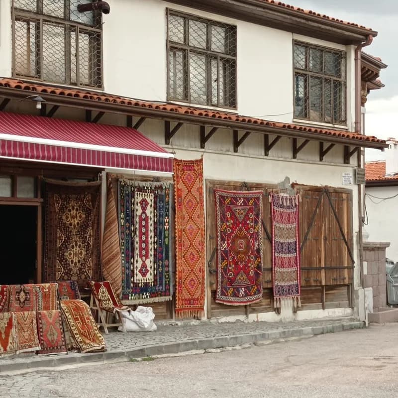 Carpet sector